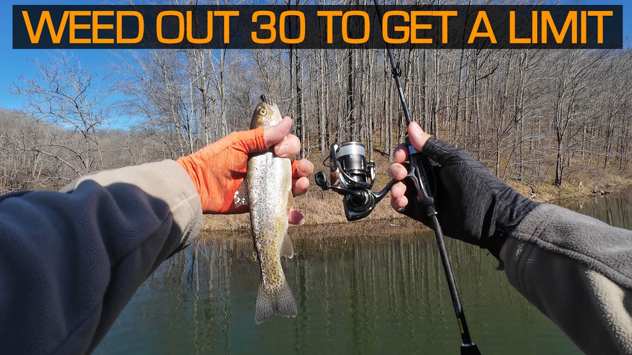 Weeding Out the Bass To Get a TROUT LIMIT !