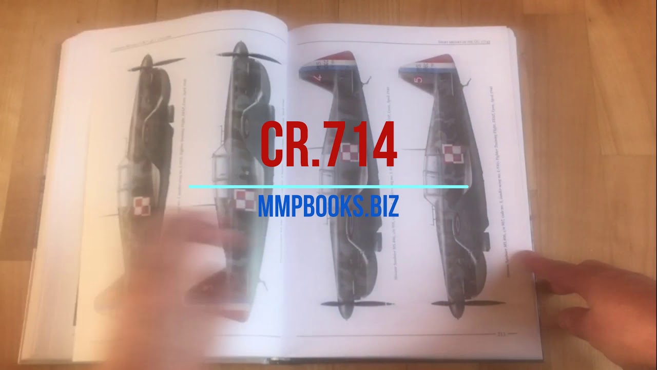Caudron-Renault CR.714 Cyclone. The Ultimate Story book preview.
