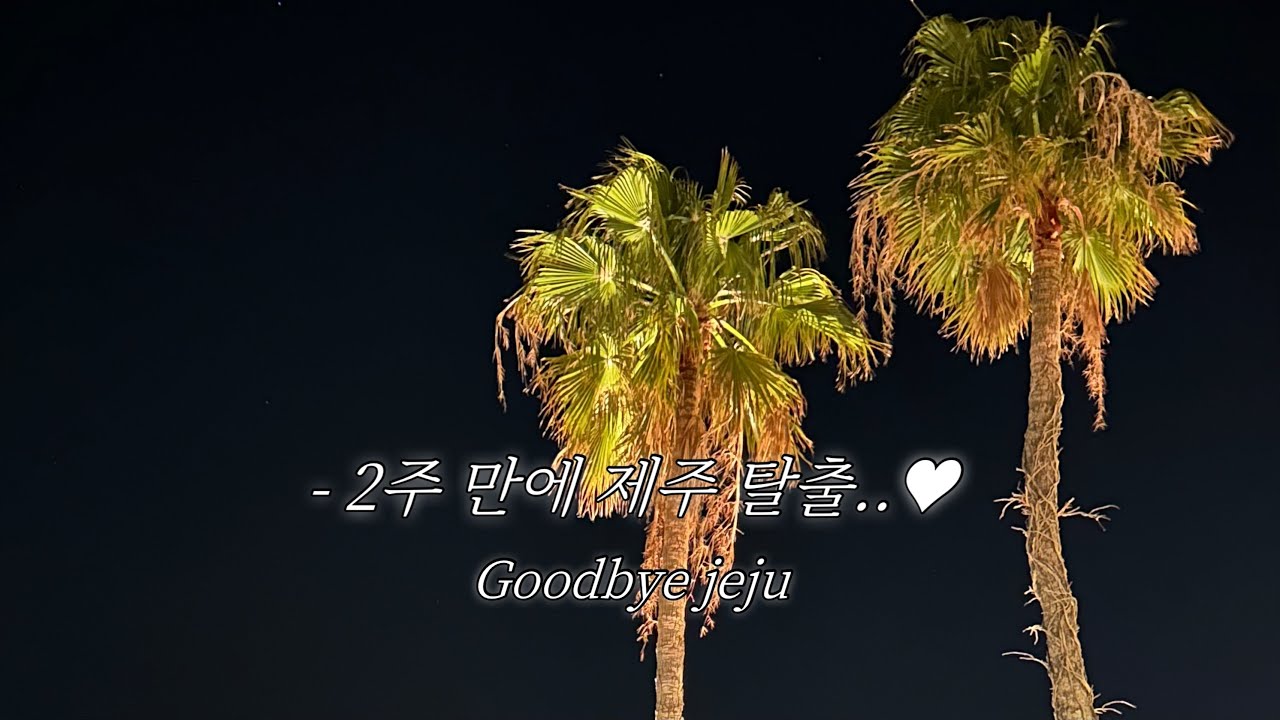 [VLOG] 제주살이 2주 만에 육지로 탈출!|제주신라호텔 더 파크뷰 디너, 양가 가족여행