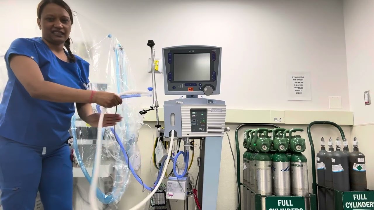 How to setup & EST the Avea Ventilator