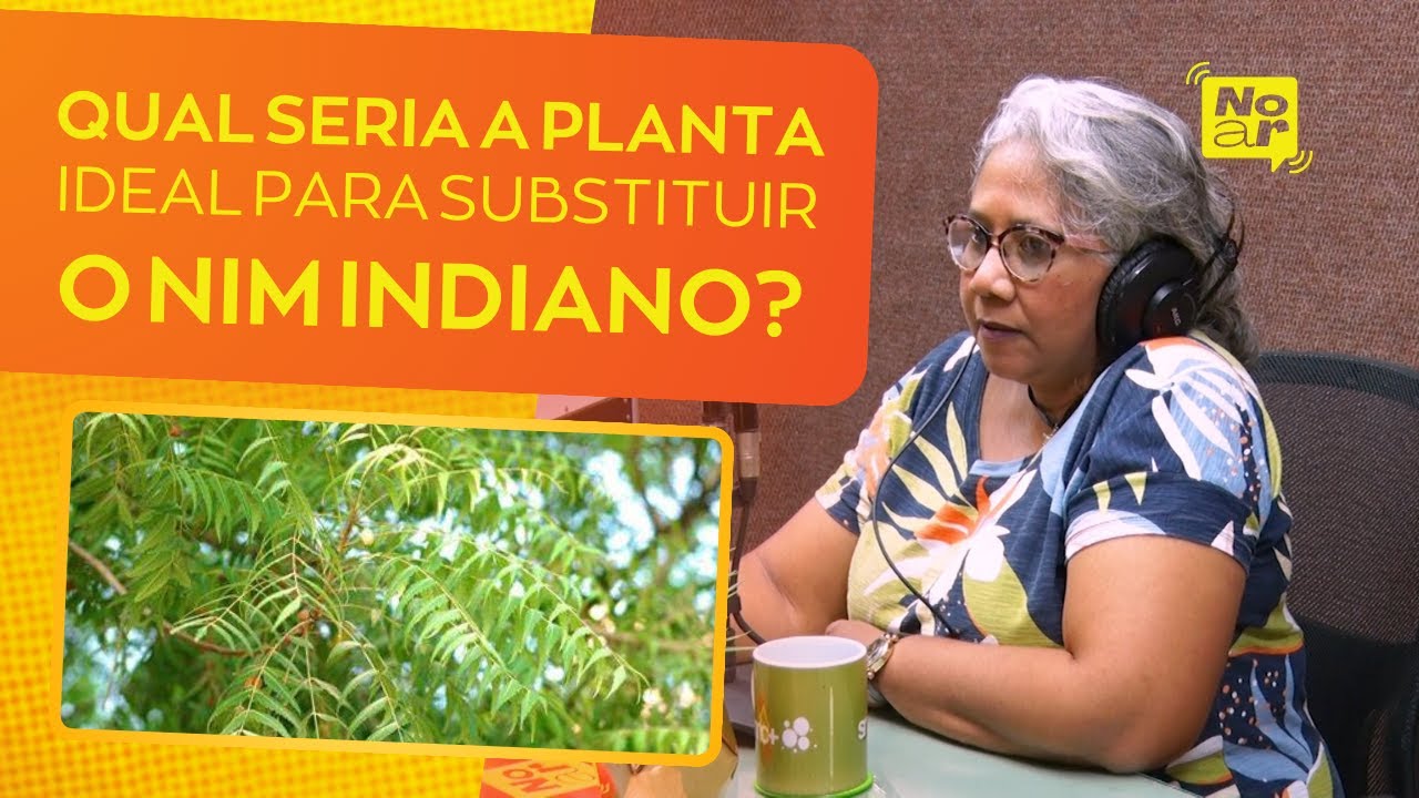 Qual seria a planta ideal para substituir o nim indiano? | #NoAR