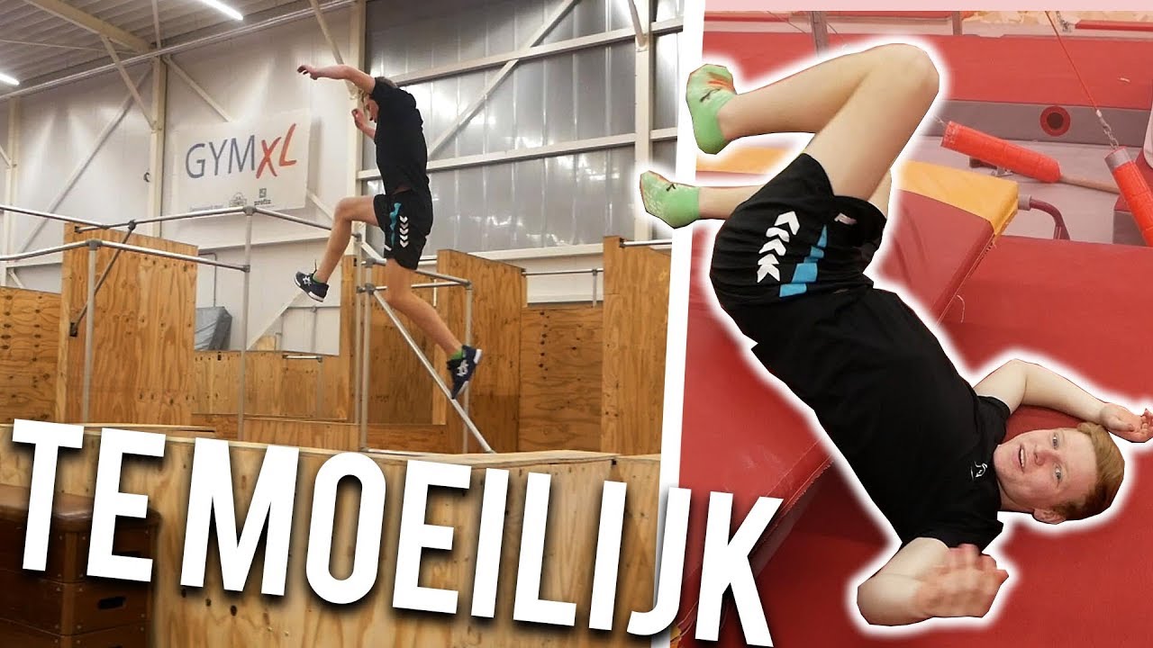 DIT KON IK NIET!? | TWIGGERZ