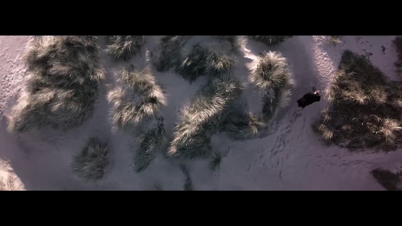 Wild Front - Rico [Official Video]