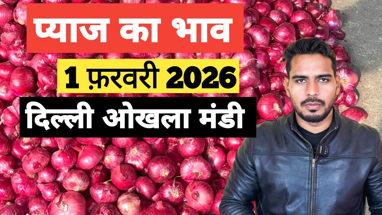 1 February 2026 🧅 प्याज का भाव दिल्ली ओखला मंडी | today onion rates #delhimandi #onion #todayonion 
