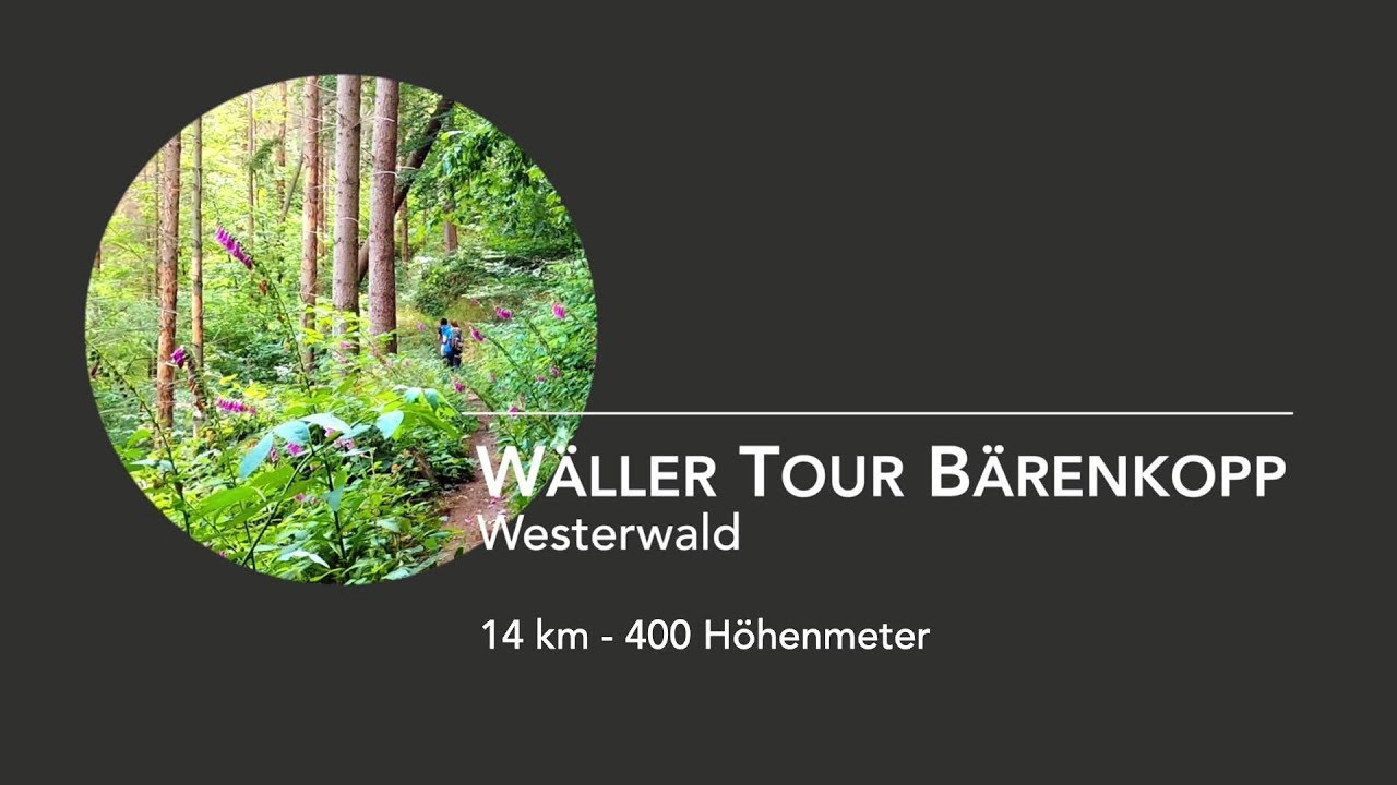 Westerwald: Wäller Tour Bärenkopp (Wandern im Wiedtal)