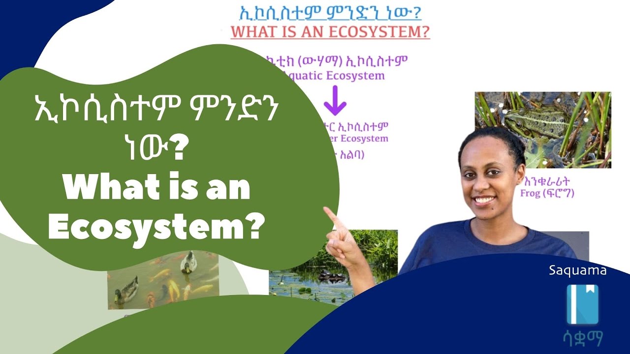 What is an Ecosystem? | ኢኮሲስተም ምንድን ነው?