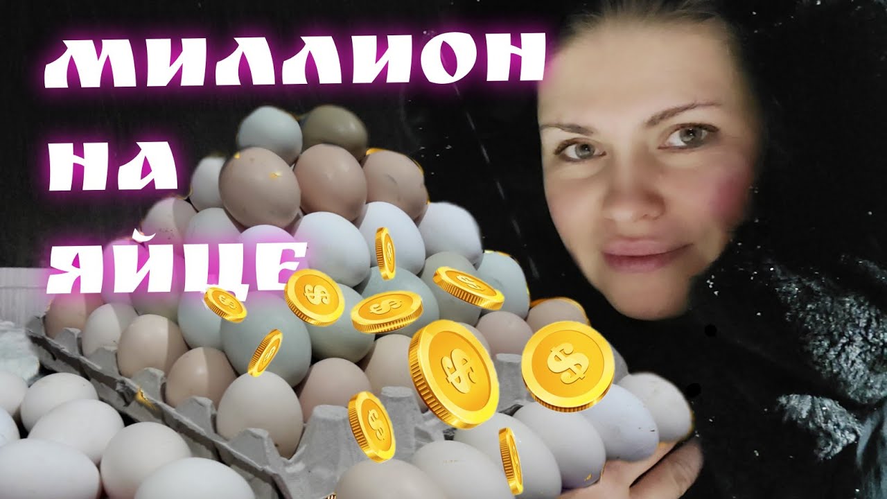 БИЗНЕС НА ЯЙЦЕ / СКОЛЬКО ДЕНЕГ ПРИНОСЯТ КУРЫ НЕСУШКИ / СКАЗКИ ДЕРЕВЕНСКИХ БЛОГЕРОВ