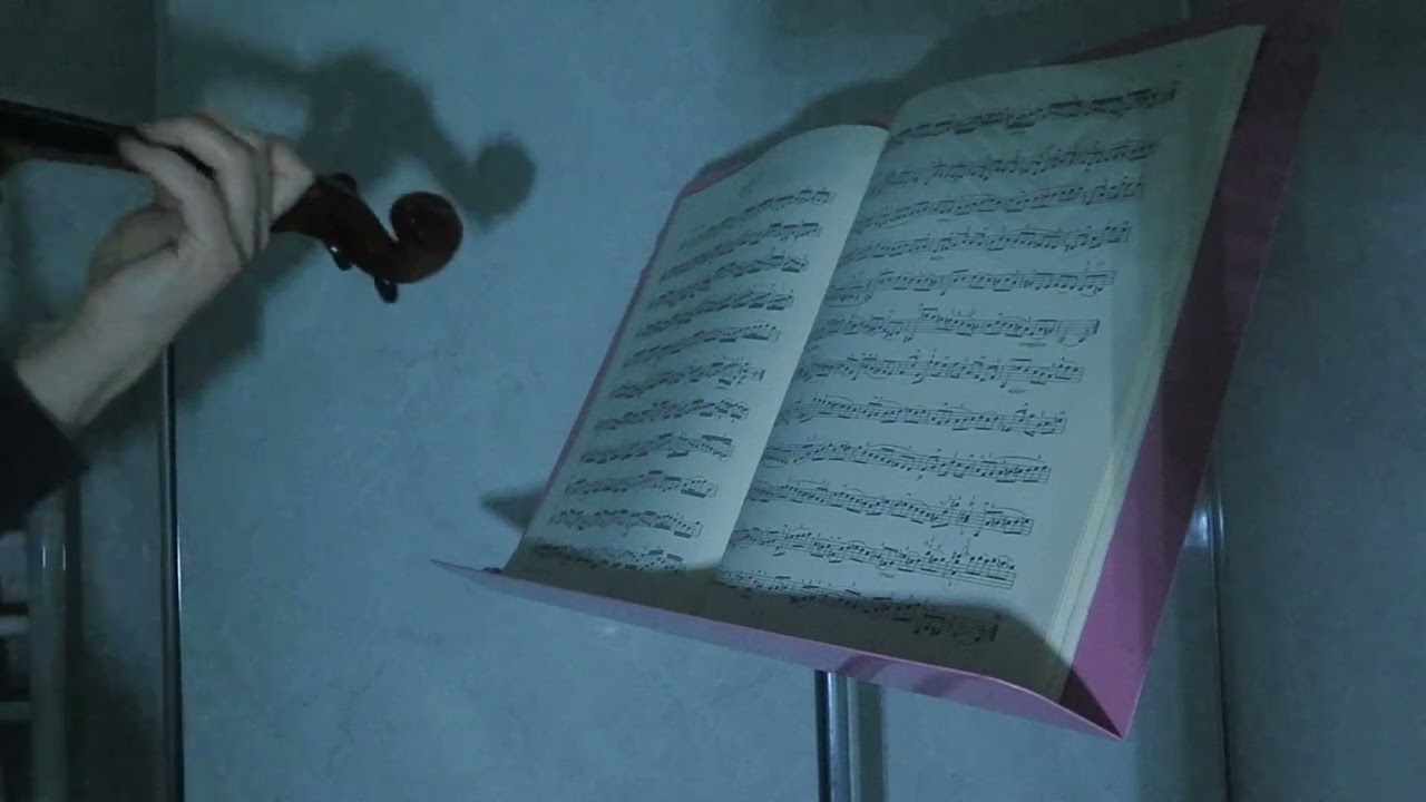 J.S. BACH for solo violin ~ Corrente in D minor from Partita II (BWV 1004)