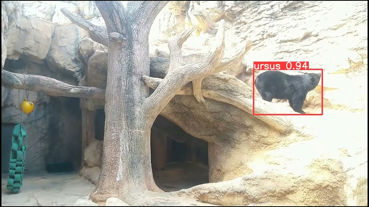 ツキノワグマ対策｜物体検知AIによる検出テスト①