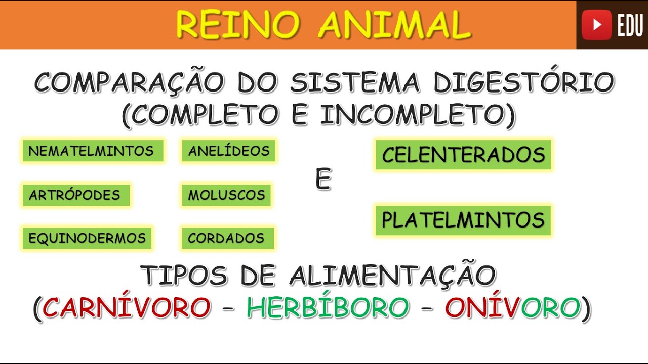Reino Animal - comparação  do Sistema Digestório