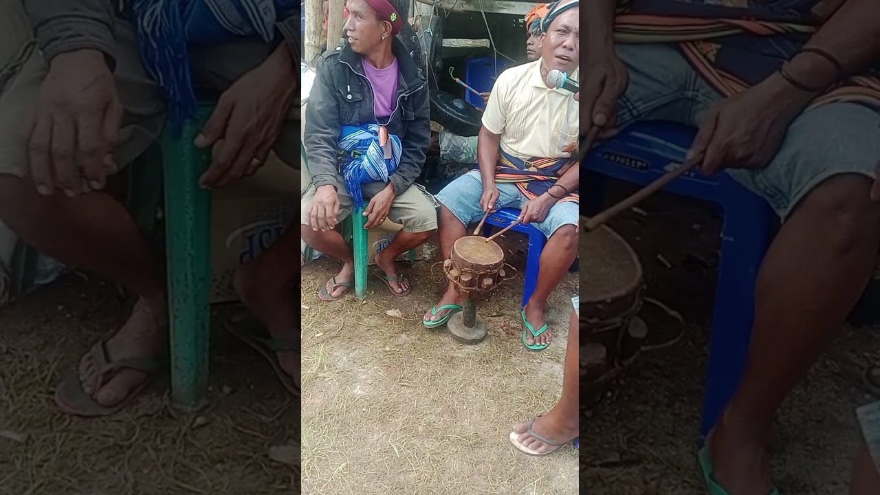 menghibur para undangan yang datang melayat dikampung weeritta desa weekombak, ( klemes ama kii)