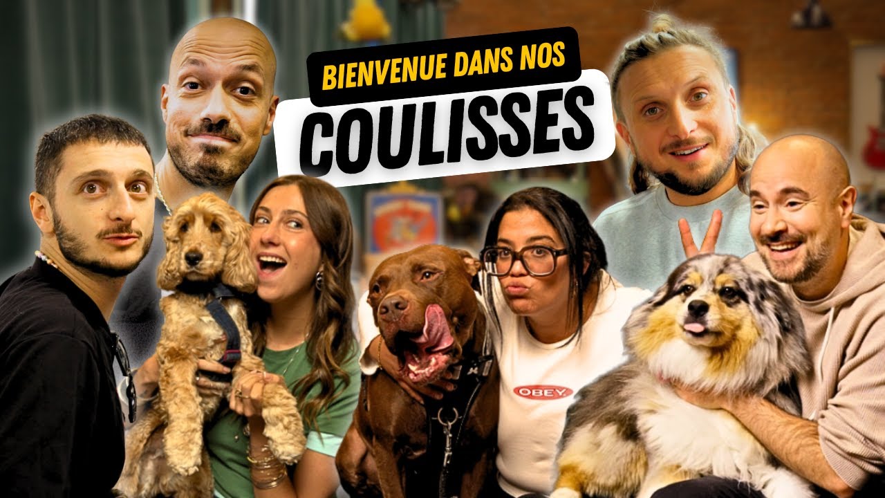 Des chiens et des copains