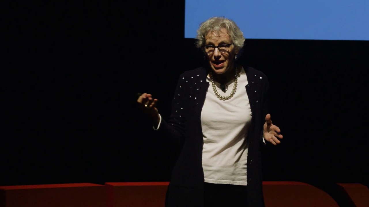 Disrupt the Course of American Politics | Joan C. Williams | TEDxPaloAltoSalon