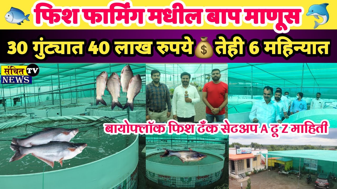 कमी जागेत जास्त नफा मिळवून देणारा मत्स्य उद्योग | अनुदान किती? खर्च किती? नफा किती? A टू Z माहिती
