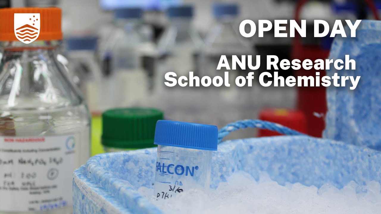 The Undergraduate Chemistry Experience