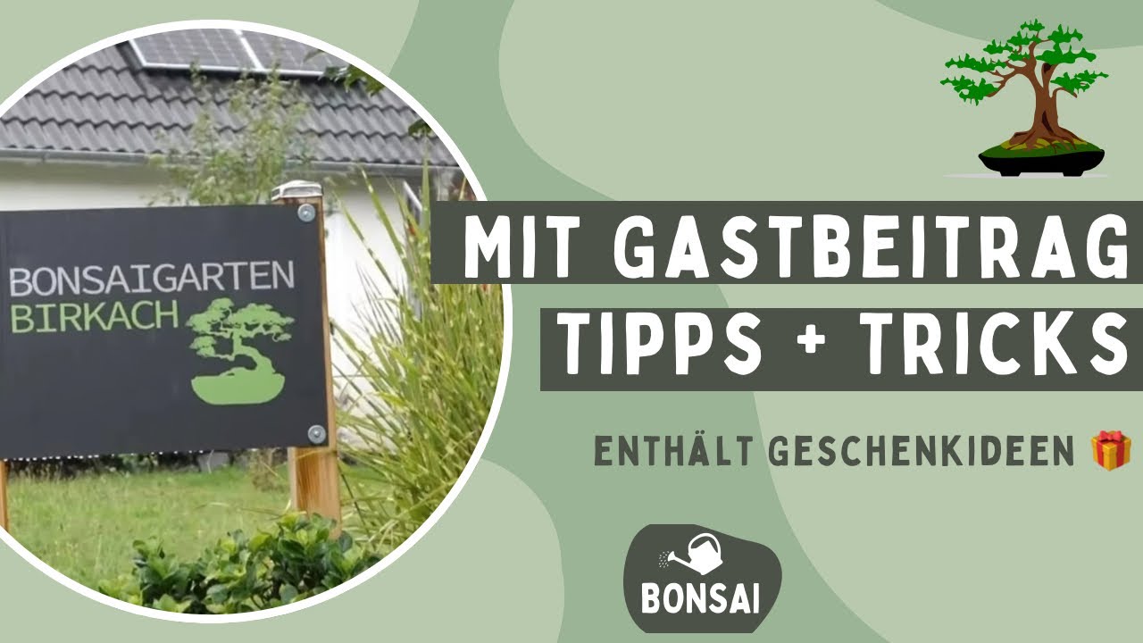 Bonsai-Substrat anmischen – Warum hier ein Laubbläser zum Einsatz kommt