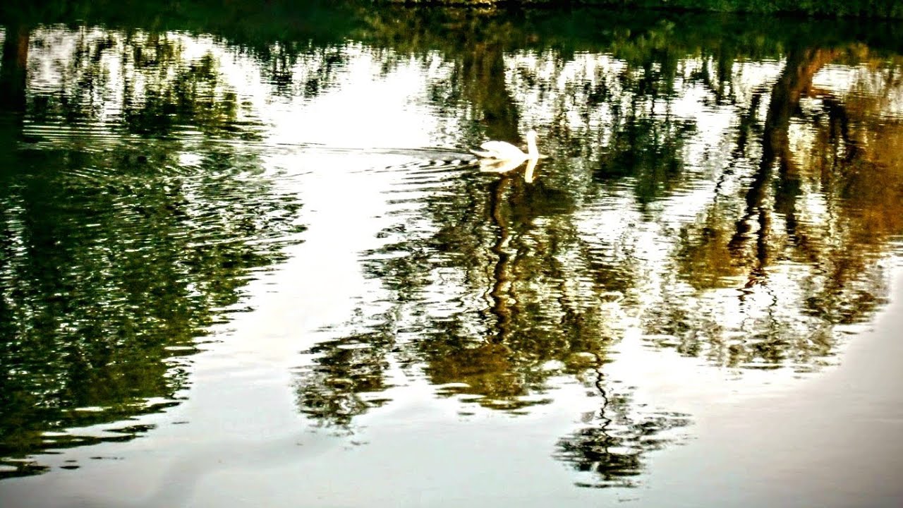 HERBSTSPIELEREIEN SEPTEMBER  2015 ZWISCHEN RUHR, HALDEN, ZECHEN UND KANAL