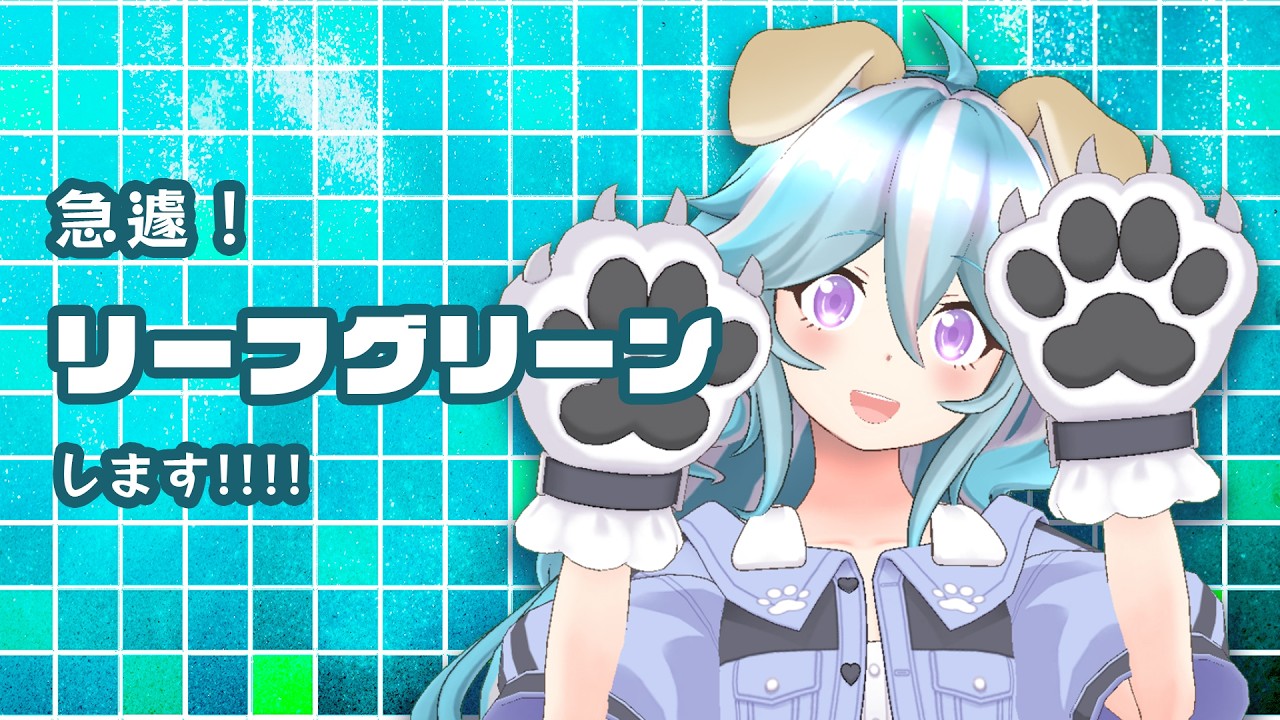 ポケモンリーフグリーンをしながら！セキチクシティから！