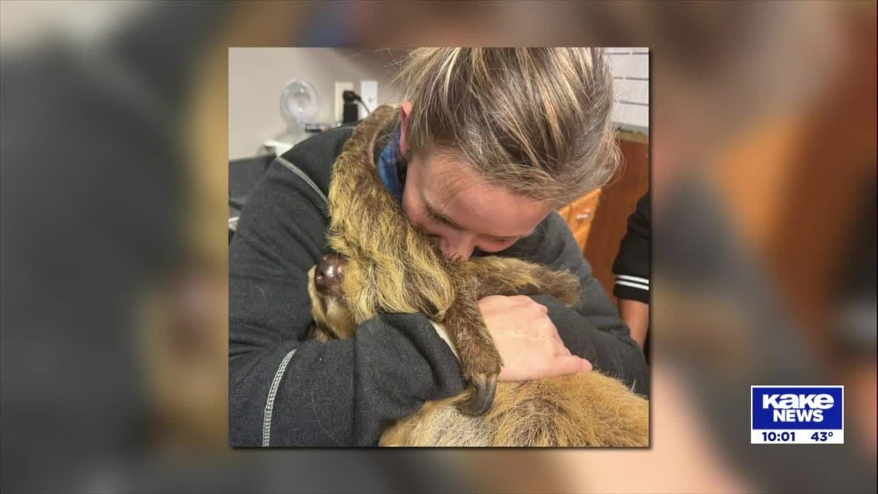 What killed 3 of Tanganyika's 4 sloths? Wildlife park publishes findings