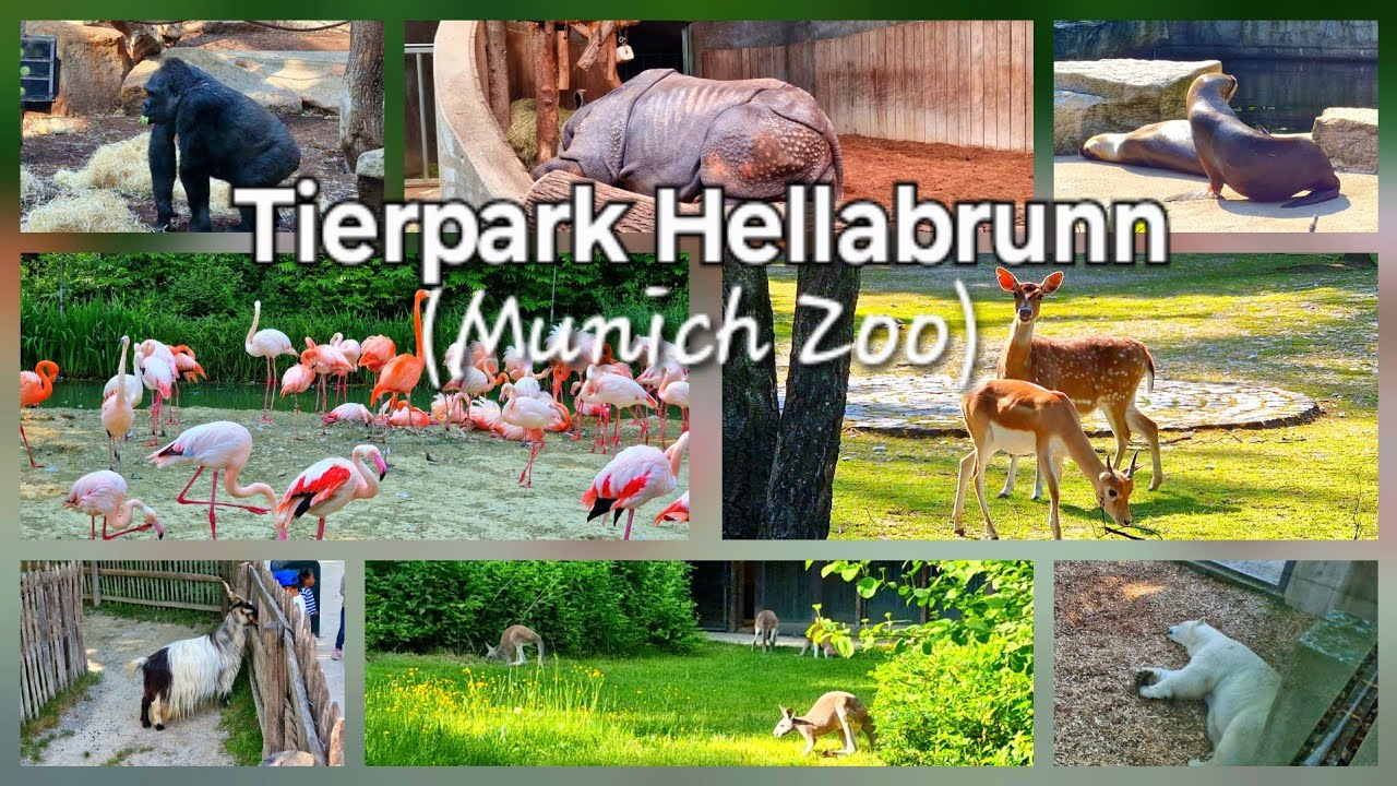 Munich Zoo (Tierpark Hellabrunn) – Everything You Need to Know 