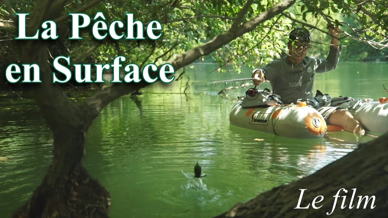 La PÊCHE en SURFACE 