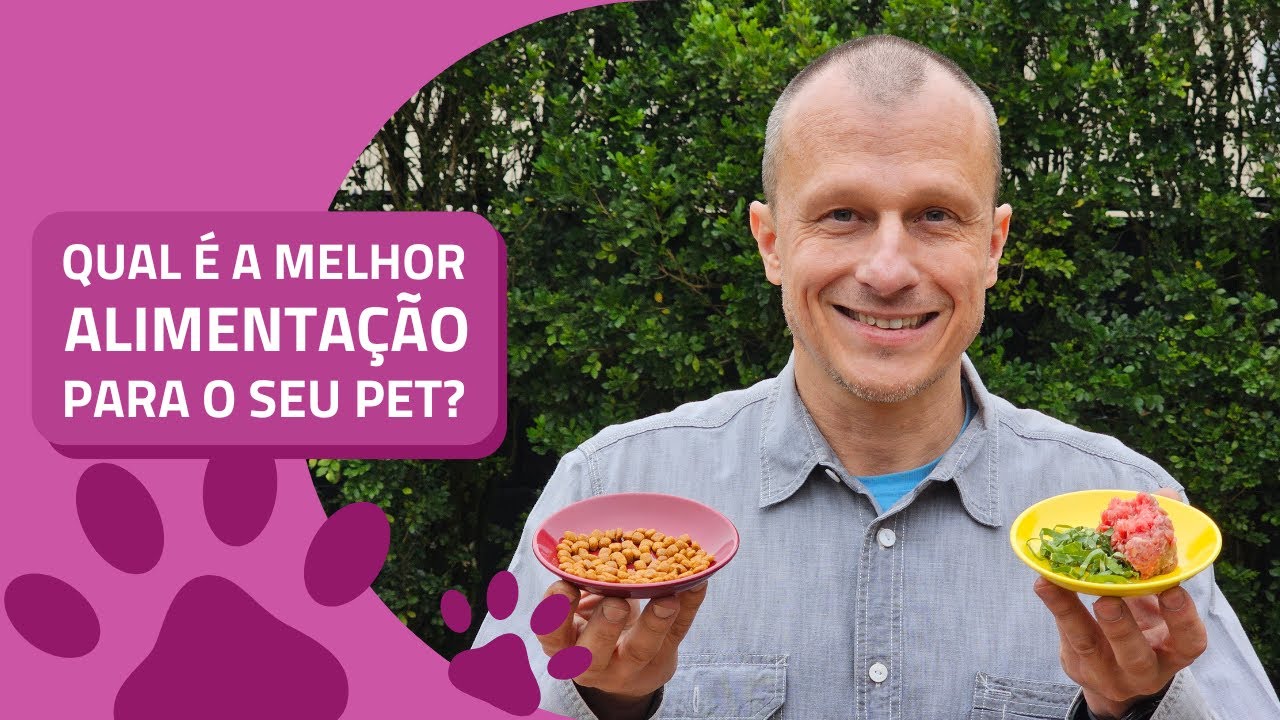 Quais os tipos de alimenta&ccedil;&atilde;o para c&atilde;es e gatos? Qual a melhor op&ccedil;&atilde;o? - Alexandre Rossi Dr Pet