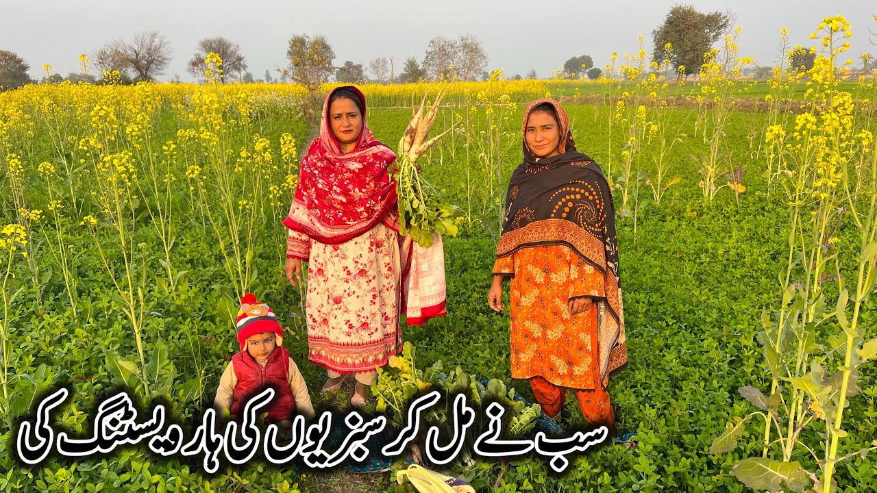 Aj Both Maza Aya || Sabzi Ki harvesting ki || Vlog