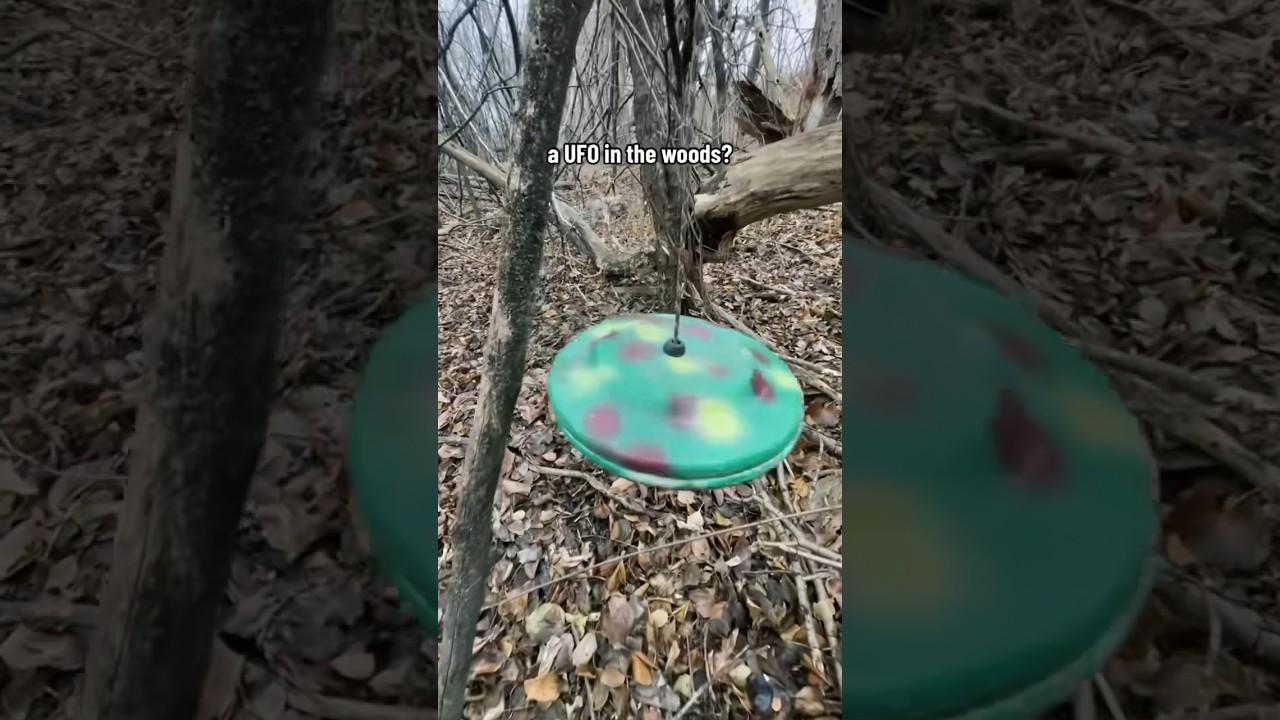 I Found A UFO In the Woods! 🛸 #geocache #geocaching #ufo #alien