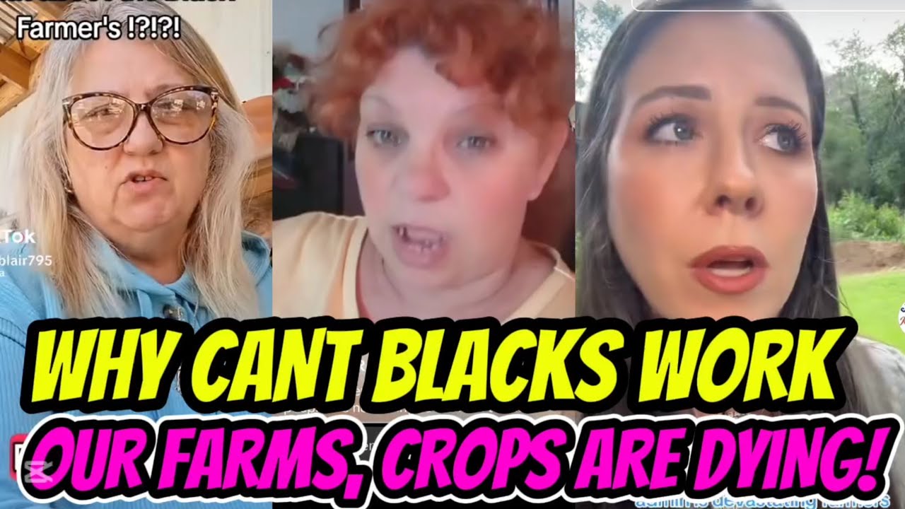 WhYte Texas Farmers FURIOUS After Black Americans Refuse to Work Their Farms as Expected!