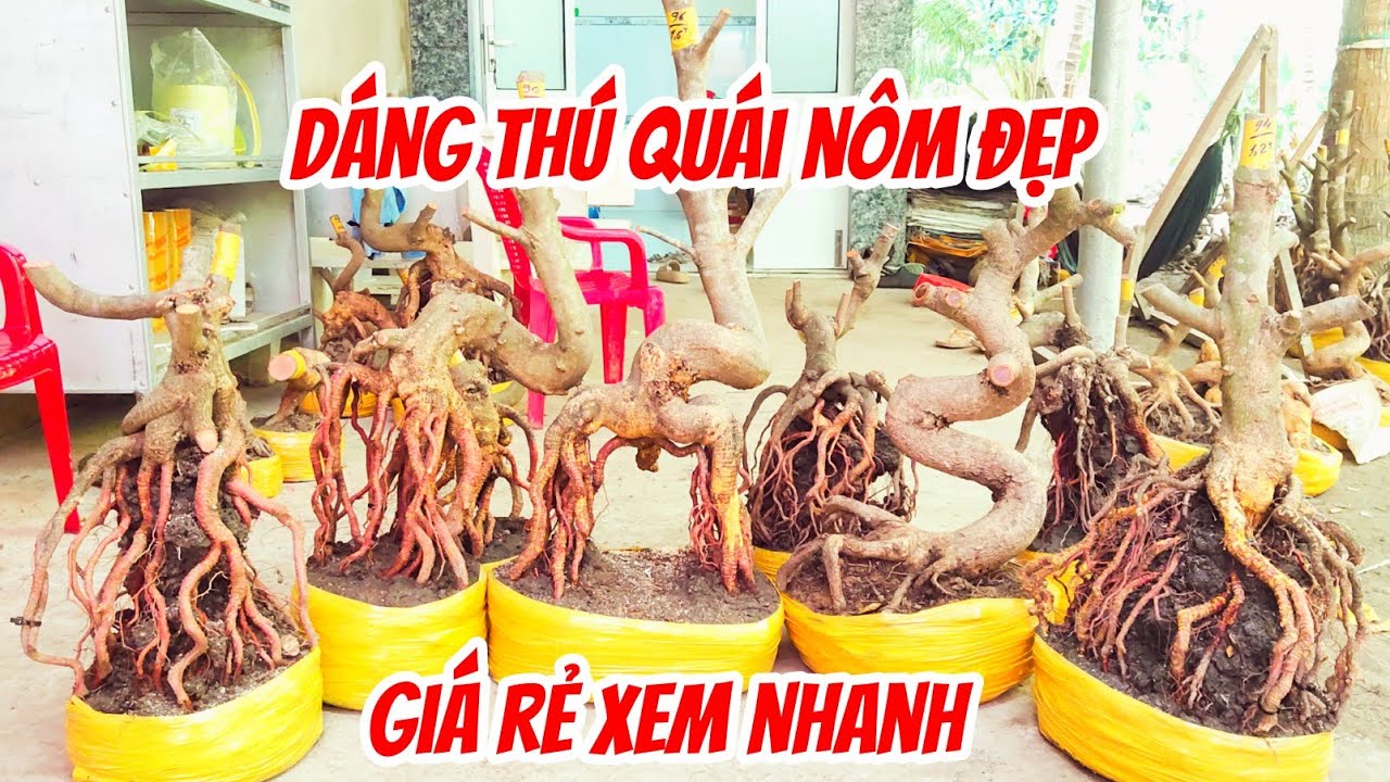 Giá giảm sâu 17/3 Vân 0857703620. Hoành to dáng thú quái đế nôm đẹp giá rẻ 
