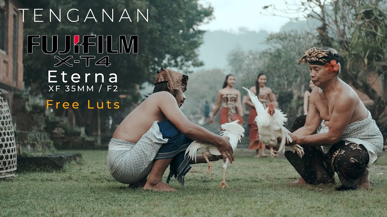 Fujifilm XT4 Free Luts Eterna - Tenganan - Bali
