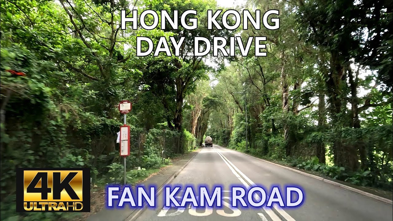 【Drive in Hong Kong 4K】Fan Kam Road - South Bound | 粉錦公路 | ASMR Relaxation | June 2023