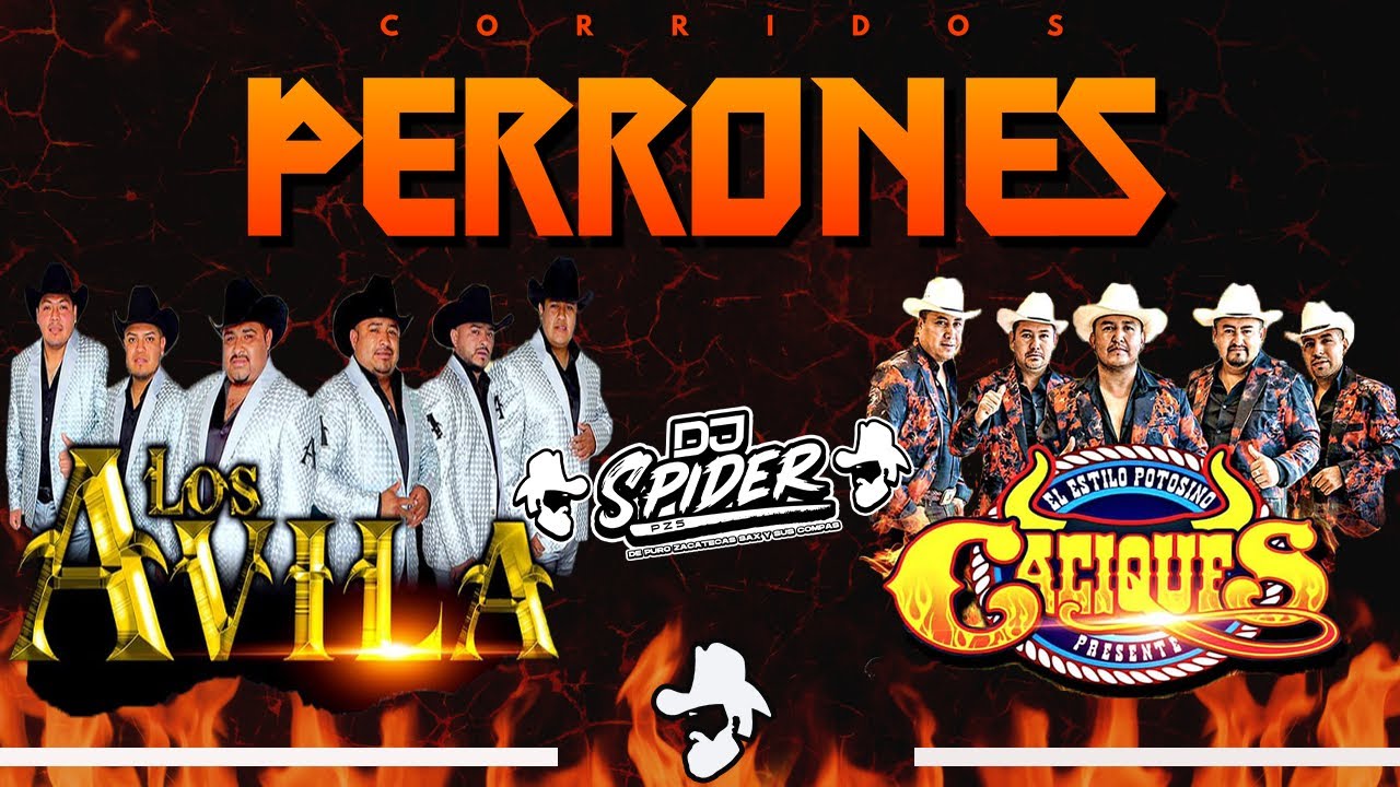 Los Avila Ft Los Caciques De san luis (Corridos Perrones) 2021