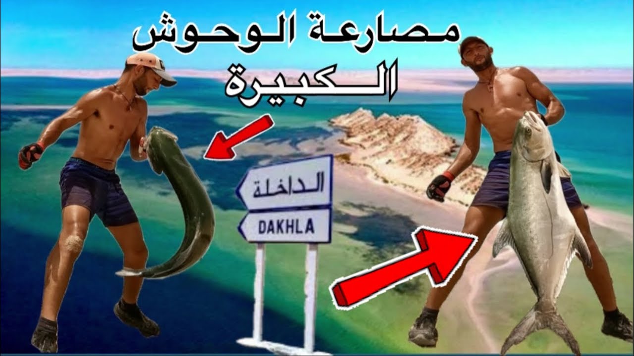 ✅الداخلة مملكة الوحوش✅ #fishing #casablanca #صيد #شاهد #اكسبلور #joe_hattab