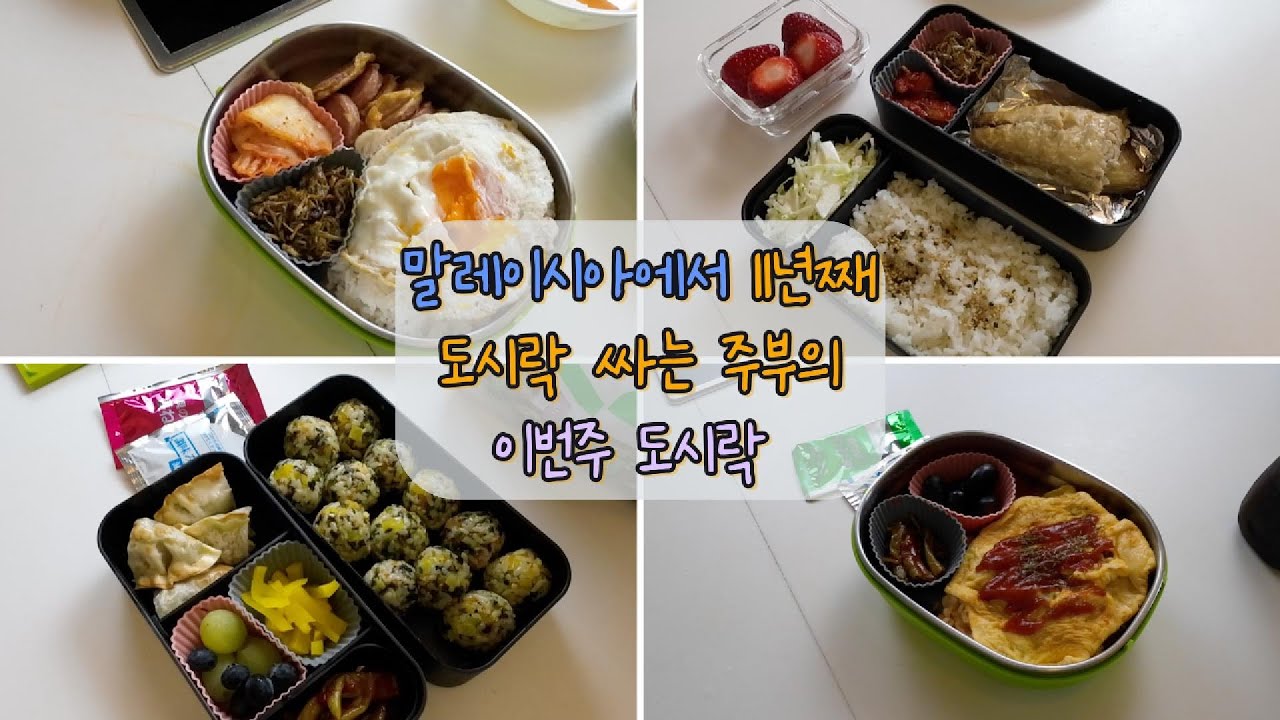 도시락 브이로그 💁🏻‍♀️ 이번주 도시락 모음 🌟 말레이시아 국제학교 다니는 아들, 일하는 남편 도시락 싸주기