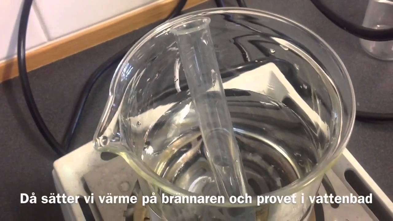 Labbrapport