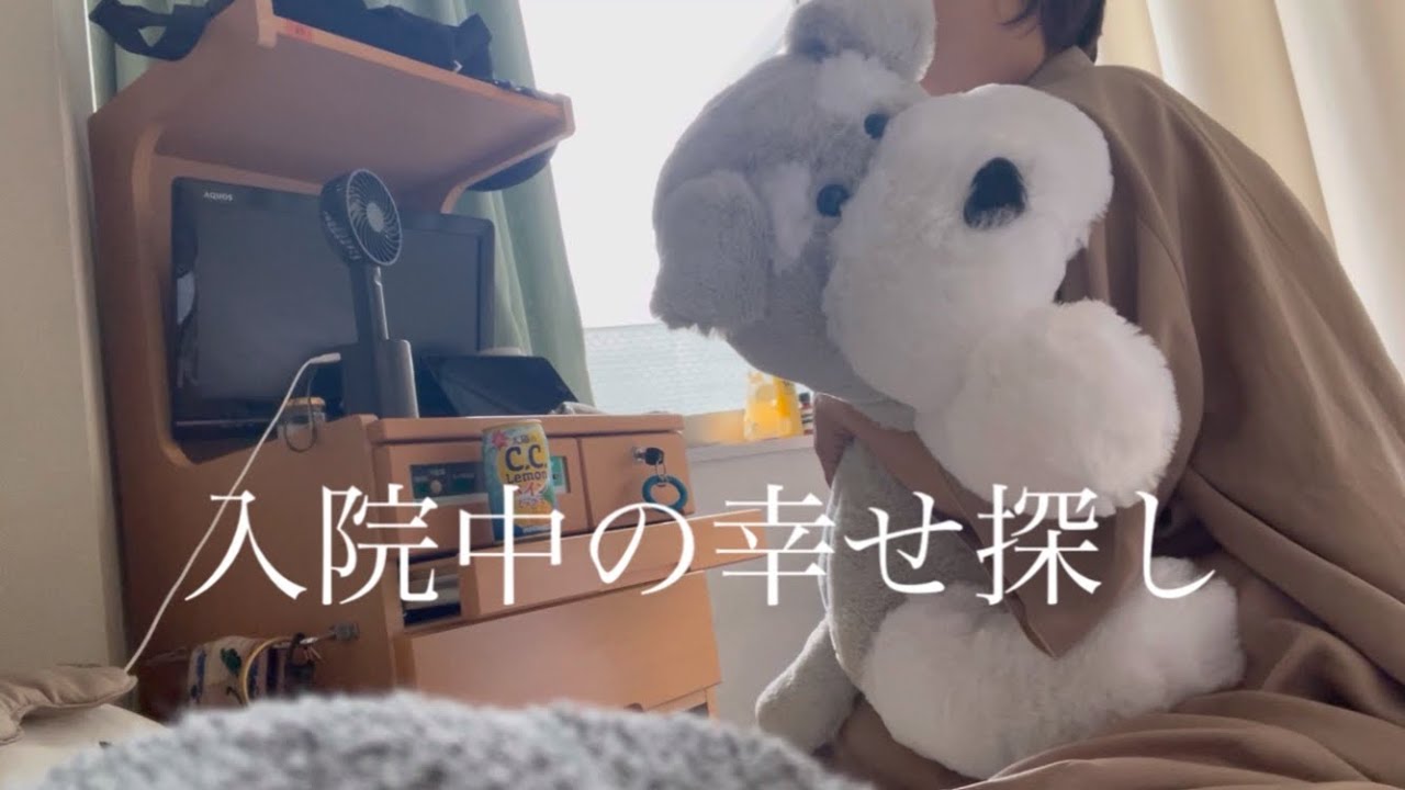 🏥【入院中の幸せ探し】　/　病院食　/　入院生活の癒し　/　日々考えること　/　笑顔で乗り切る入院生活　/　シュナウザー　/　shnauser　/　入院食　/　入院生活