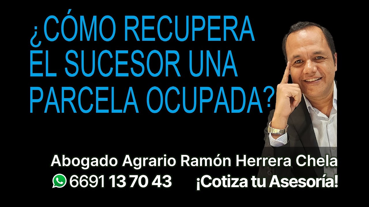 Si la parcela está ocupada ¿el sucesor debe demandar la restitución, recuperación, despojo, entrega?