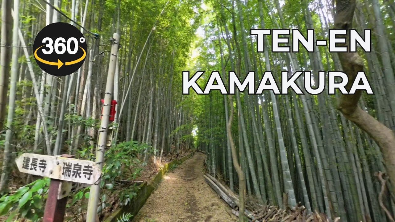 Ten-en Hiking Course, Kamakura, Japan | 360º 4K