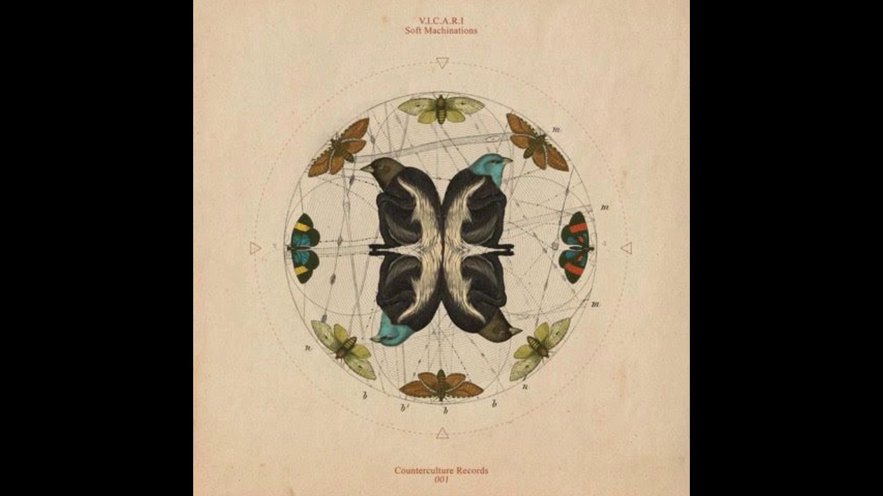 V.I.C.A.R.I - MOY LALLY IN D