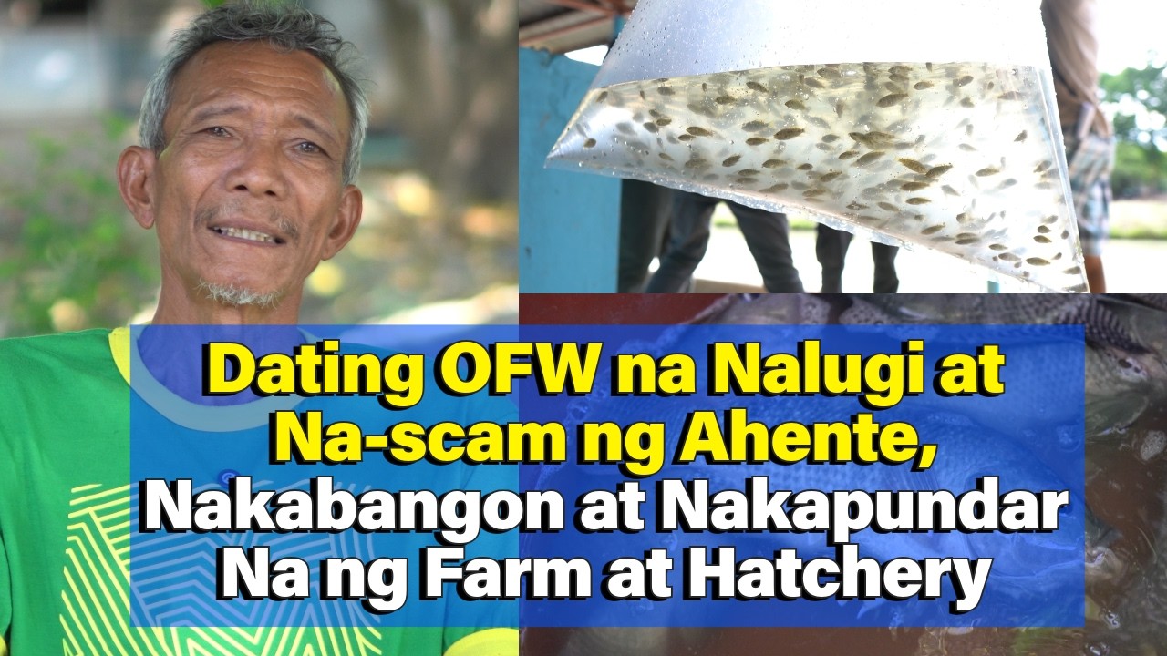 Farmer na Nabiktima ng Scammer na Ahente, Nakabangon Muli Dahil sa FAS Tilapya