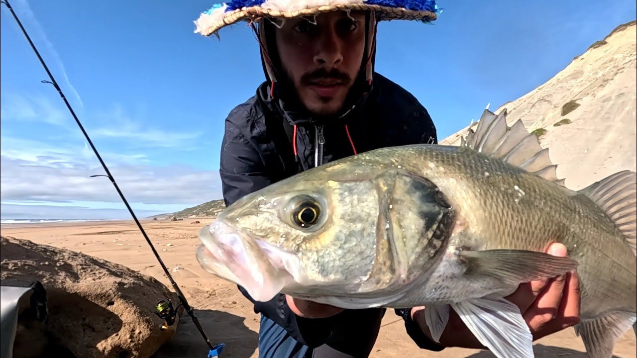 إختيار موليني مناسب🤔 مميزات penn 2500👈إختبار مباشر مع سمكة درعي كبيرة🔥 penn vs shimano