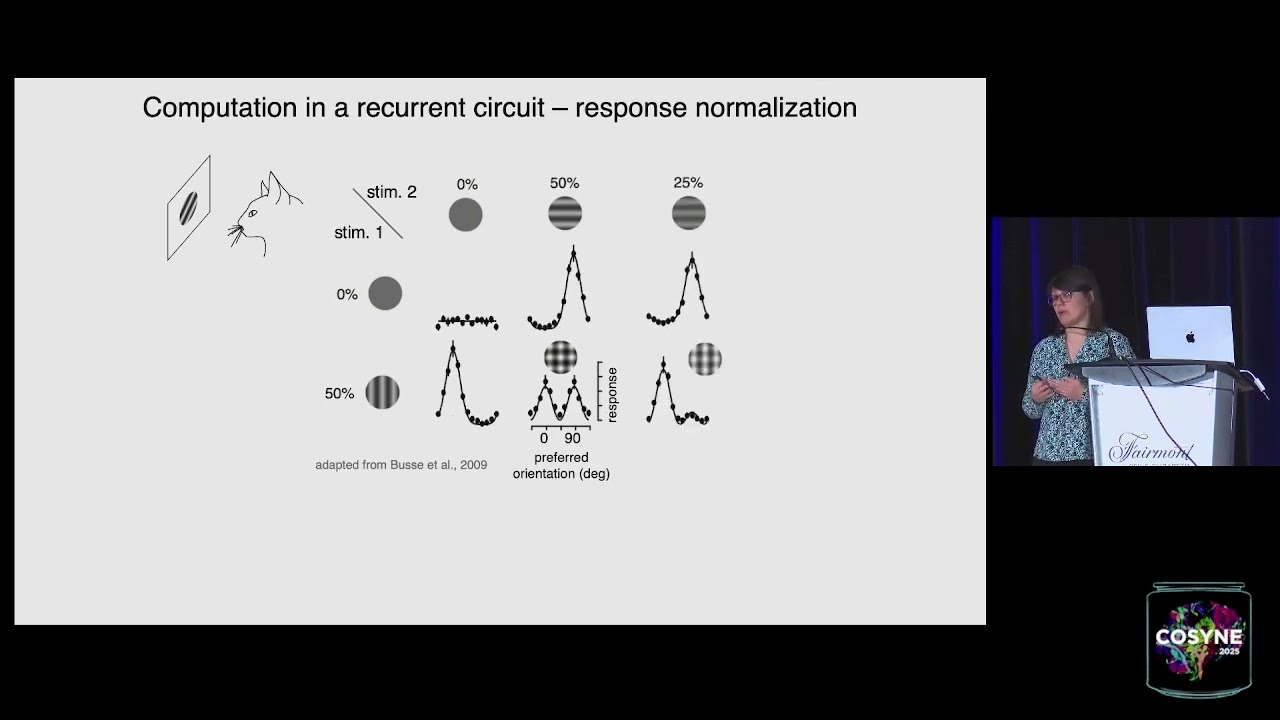 COSYNE 2025 Session 2: Circuit formation