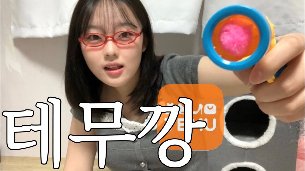 나도 고양이도 만족한 성공적인 테무깡 브이로그