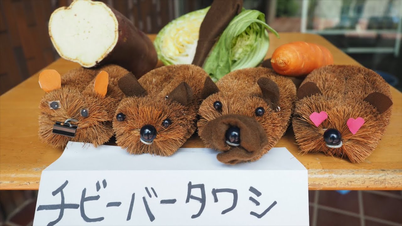 【千葉市動物公園公式】チビーバータワシのつくり方