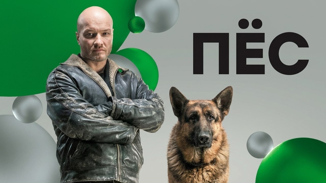 Сериал Пёс: 6 СЕЗОН, ВСЕ СЕРИИ ПОДРЯД
