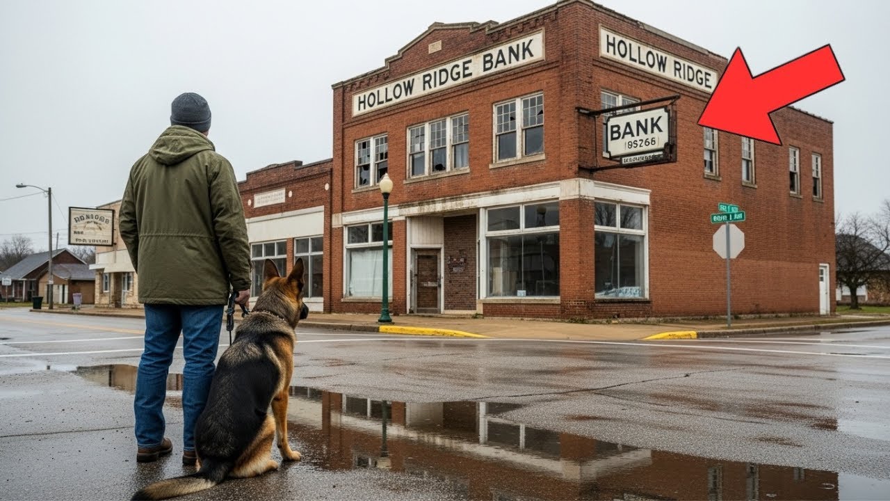 He Bought a Rotten Bank for $10 — What His Dog Found in the Vault Shocked the Entire Town