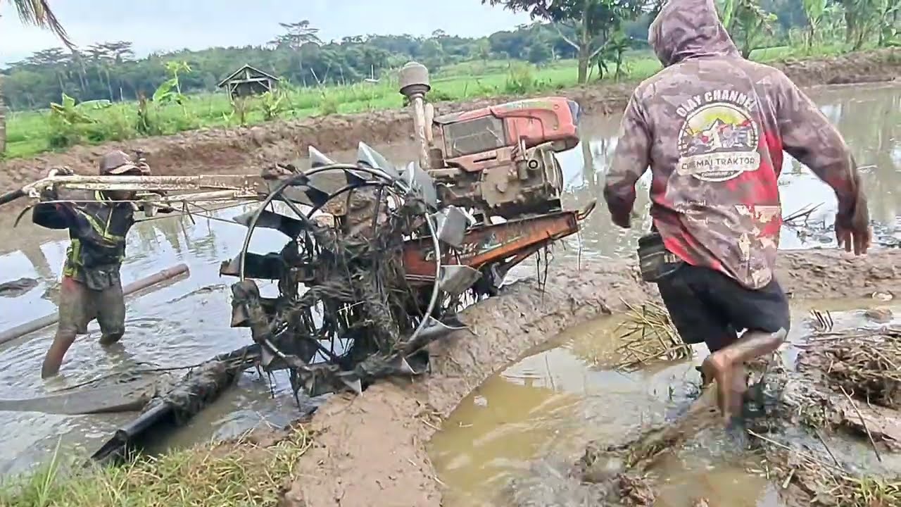 Tarik bambu Traktor zeva meratakan di petak besar