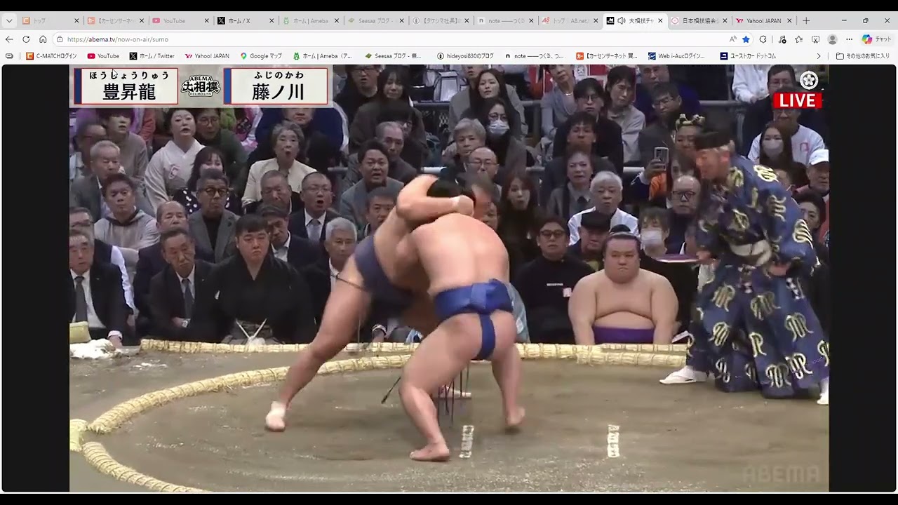 横綱/豊昇龍/立浪部屋/藤ノ川/伊勢ノ海部屋/大相撲