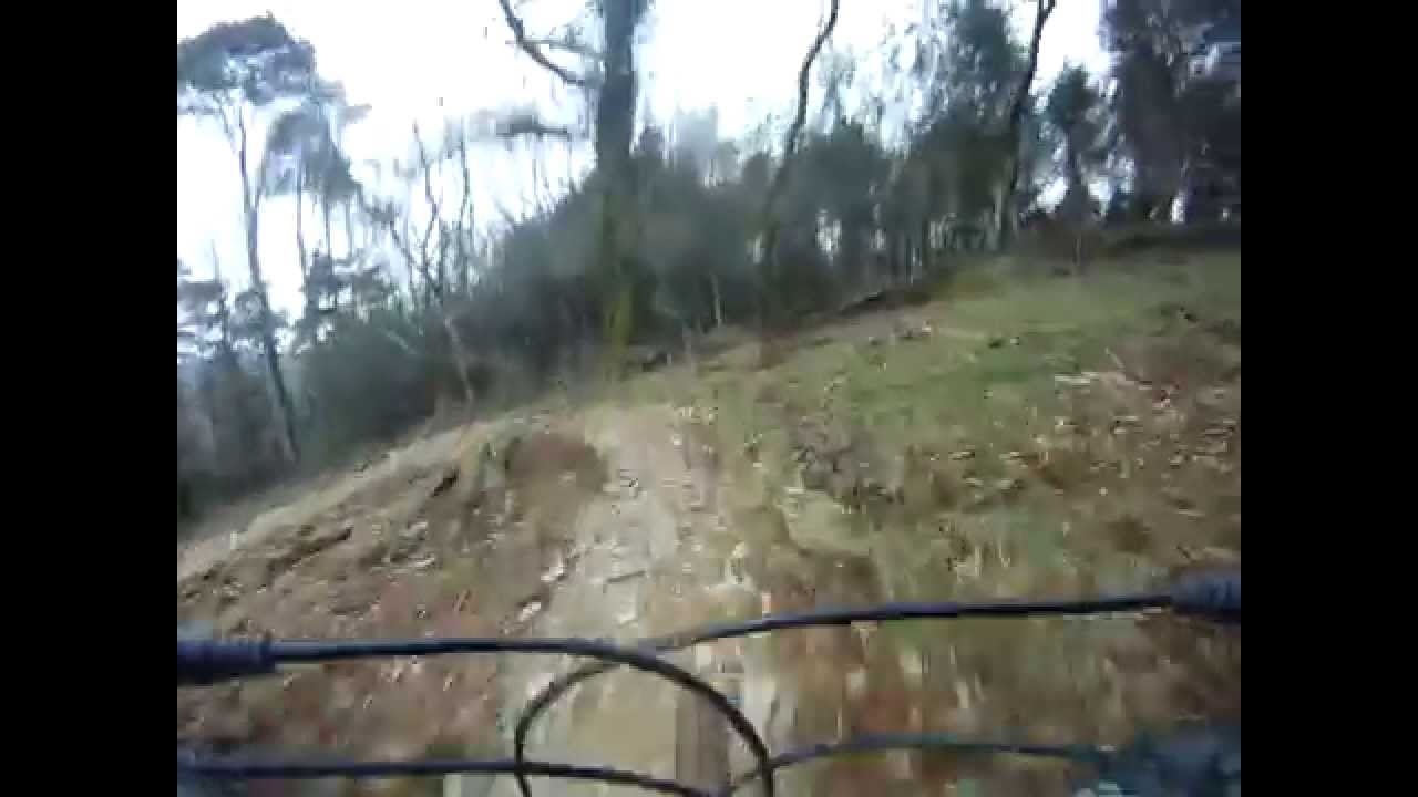 CARDINHAM WOODS..........HELLS TEETH